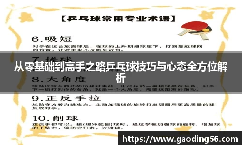 从零基础到高手之路乒乓球技巧与心态全方位解析