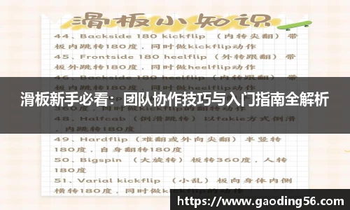 滑板新手必看：团队协作技巧与入门指南全解析