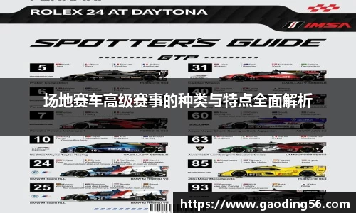 场地赛车高级赛事的种类与特点全面解析