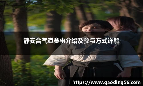静安合气道赛事介绍及参与方式详解