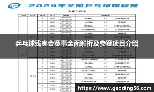 乒乓球残奥会赛事全面解析及参赛项目介绍