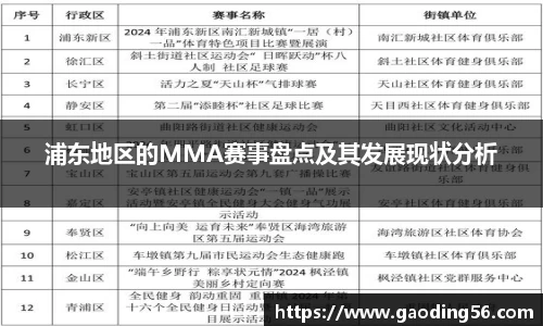 浦东地区的MMA赛事盘点及其发展现状分析