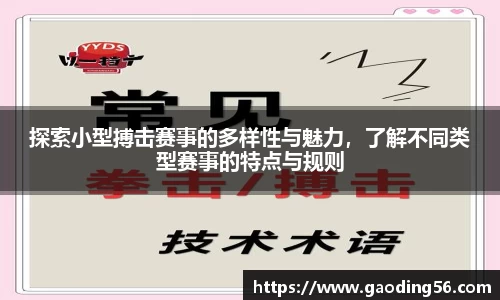 探索小型搏击赛事的多样性与魅力，了解不同类型赛事的特点与规则