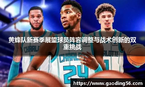 黄蜂队新赛季展望球员阵容调整与战术创新的双重挑战