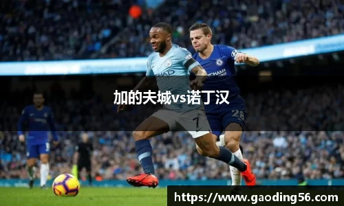 加的夫城vs诺丁汉