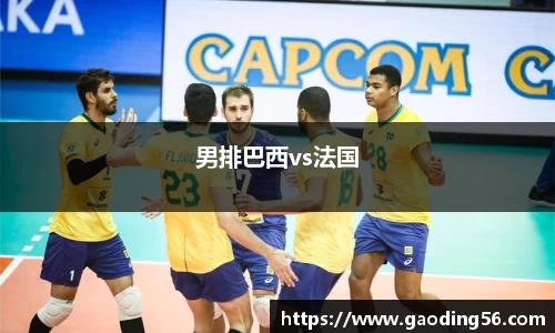 男排巴西vs法国