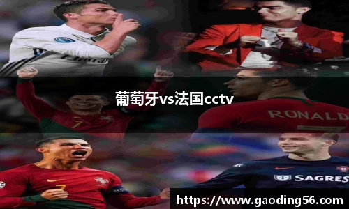 葡萄牙vs法国cctv