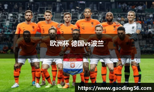 欧洲杯 德国vs波兰