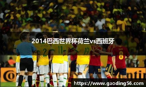 2014巴西世界杯荷兰vs西班牙