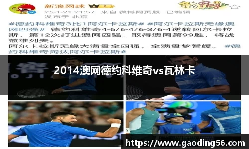 2014澳网德约科维奇vs瓦林卡