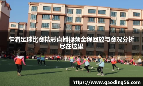 乍浦足球比赛精彩直播视频全程回放与赛况分析尽在这里