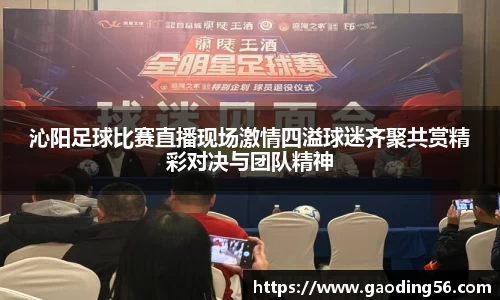 沁阳足球比赛直播现场激情四溢球迷齐聚共赏精彩对决与团队精神