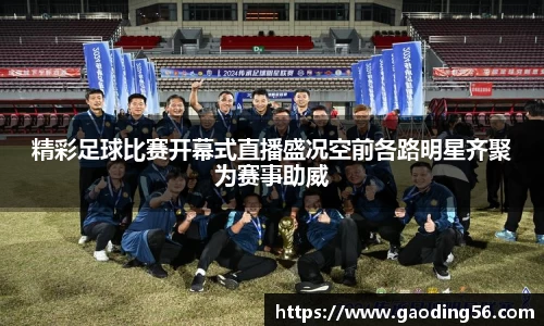 精彩足球比赛开幕式直播盛况空前各路明星齐聚为赛事助威