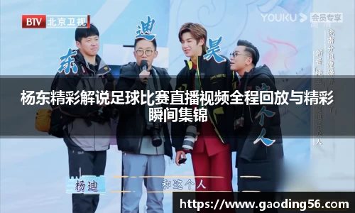 杨东精彩解说足球比赛直播视频全程回放与精彩瞬间集锦