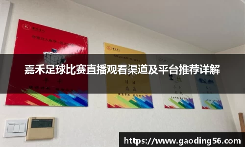 嘉禾足球比赛直播观看渠道及平台推荐详解