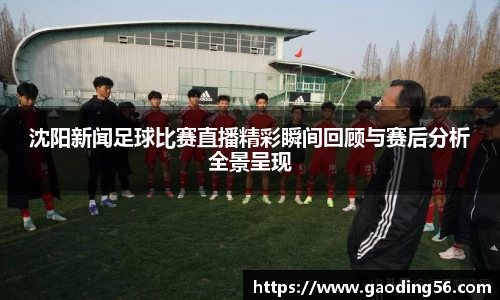 沈阳新闻足球比赛直播精彩瞬间回顾与赛后分析全景呈现