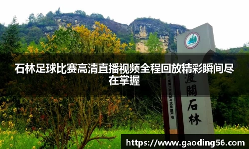 石林足球比赛高清直播视频全程回放精彩瞬间尽在掌握