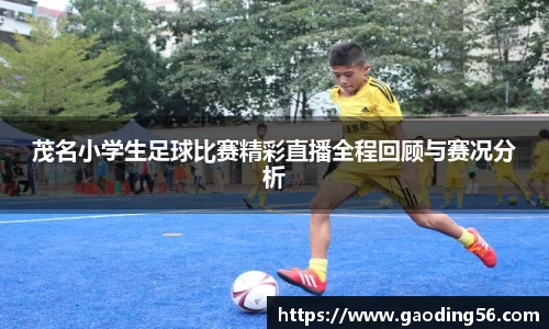 杏耀注册平台