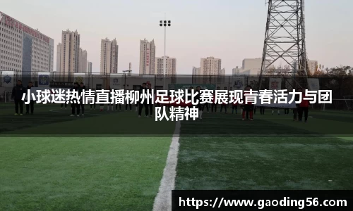 小球迷热情直播柳州足球比赛展现青春活力与团队精神