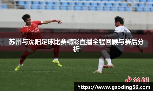 苏州与沈阳足球比赛精彩直播全程回顾与赛后分析
