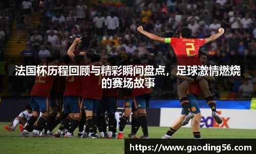 法国杯历程回顾与精彩瞬间盘点，足球激情燃烧的赛场故事