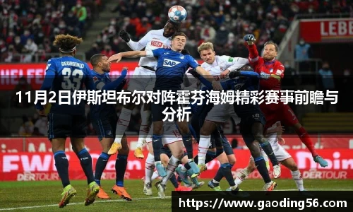11月2日伊斯坦布尔对阵霍芬海姆精彩赛事前瞻与分析