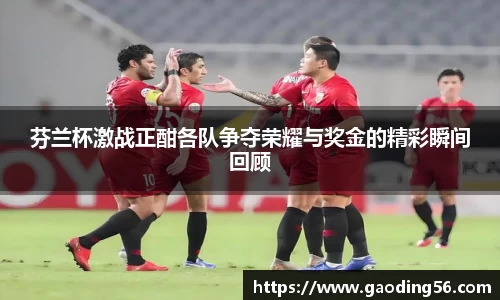 芬兰杯激战正酣各队争夺荣耀与奖金的精彩瞬间回顾